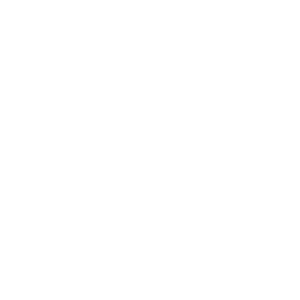 Shiro Games
