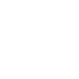 Koei Tecmo